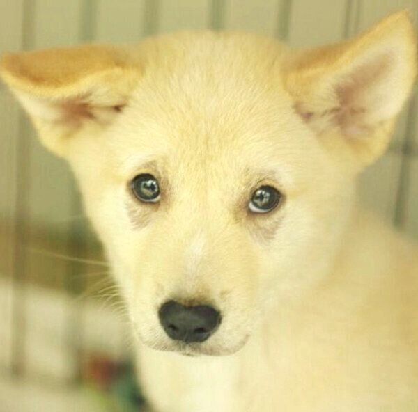 生後3カ月頃のくるりちゃん