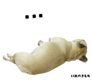ぽん太ちゃんのスタンプ