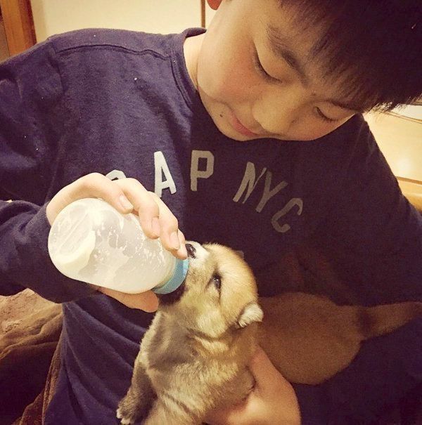 ミルクを飲む福くん