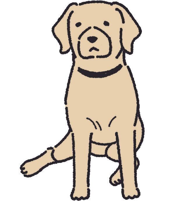 犬のかわいいポーズ もしかしたら病気のサインかも 要注意な 姿勢 をチェックしよう いぬのきもちweb Magazine 犬のかわいいポーズ もしかしたら病気のサインかも 要注意な 姿勢 をチェックしよう いぬのきもちweb Magazine