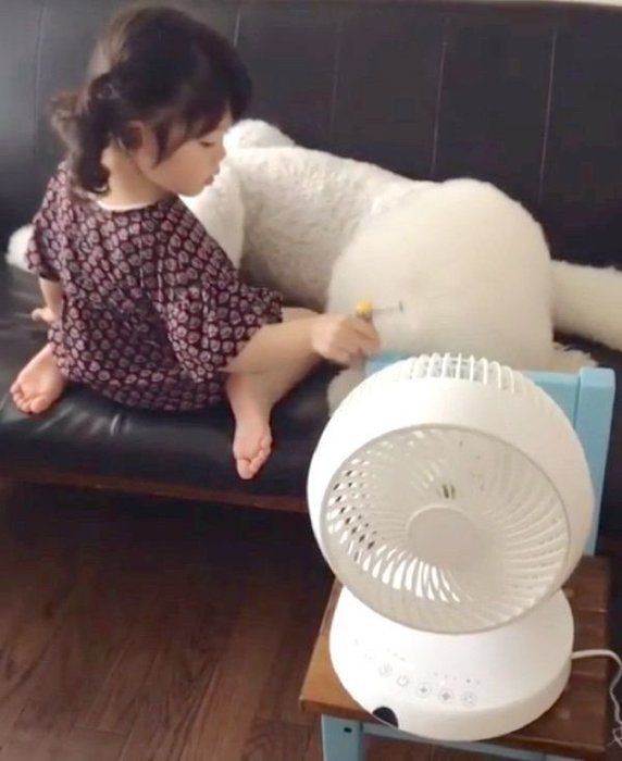 お医者さんごっこをするスタンダード・プードルと女の子