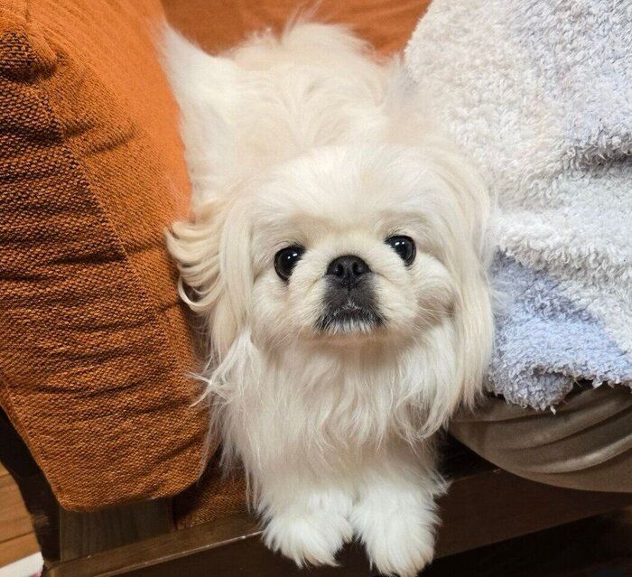 成長したぱんちゃん。