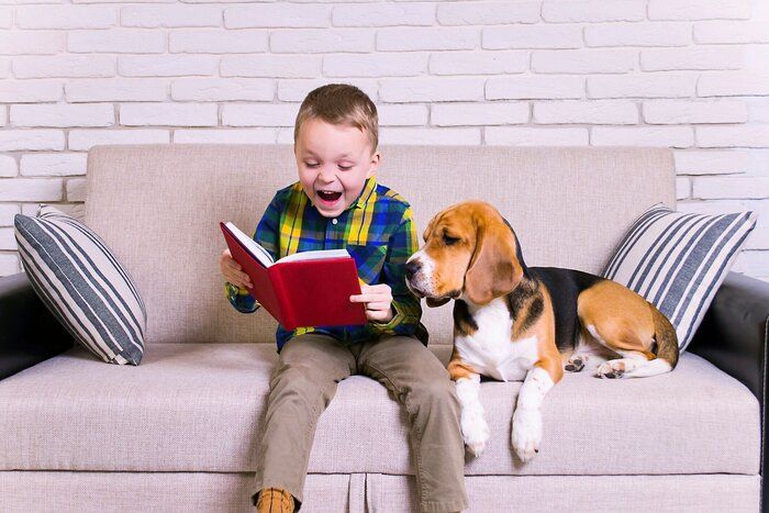 少年と犬の本を読んで精神的に
