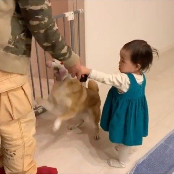 パパさんの帰宅を喜ぶ花子ちゃんとモモ子ちゃん