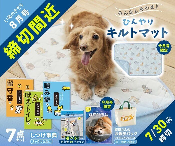 いぬのきもちWEB MAGAZINE｜もっと犬が好きになる。
