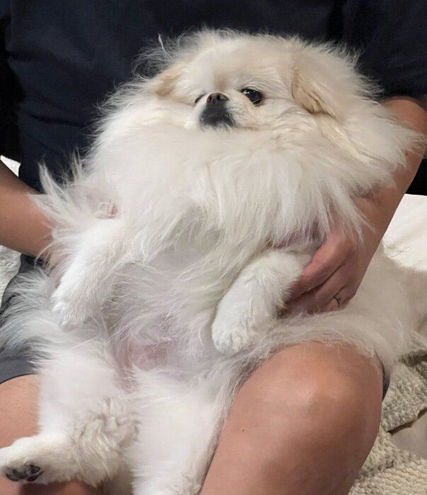 まったりするなんこつちゃん