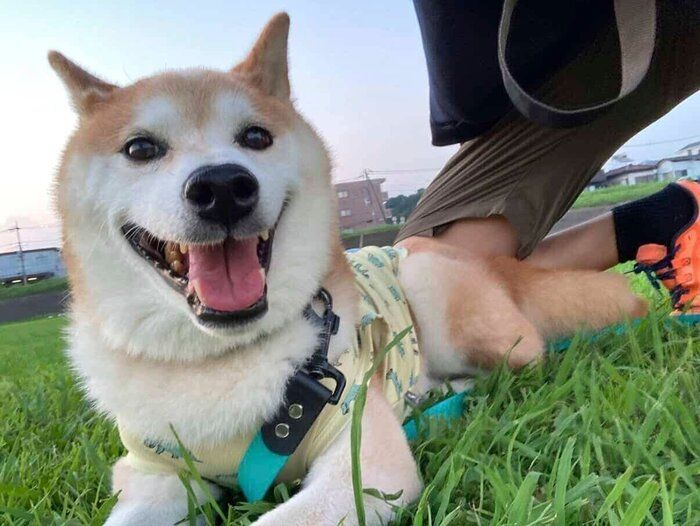 笑顔が可愛い咲ク太郎くん