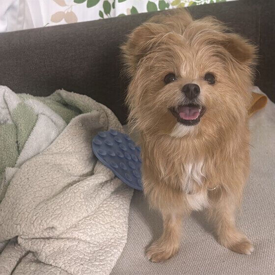 �д�Υ������