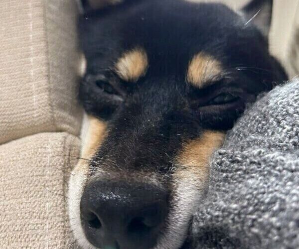 5r7pjjyhpk02pm 5r7pjjyhpk02pm