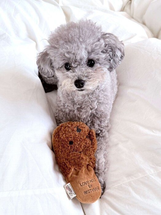 別の日の様子　“起きた瞬間”からかわいいエマちゃん