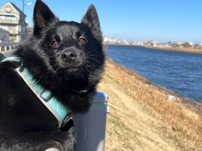“大好きなじぃじ”に抱っこをしてもらい満足そうな表情を浮かべるごまめくん