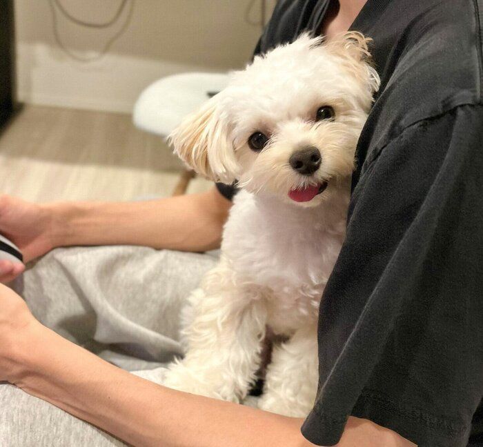 甘えるぽてとくん