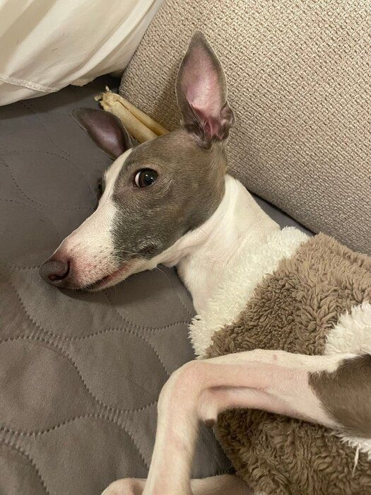 ����Ω�ƤƤ����ͻҤθ�