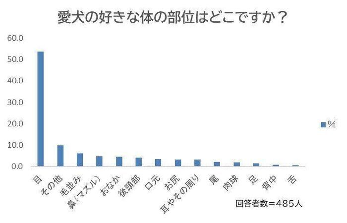 愛犬の好きな体の部位は？
