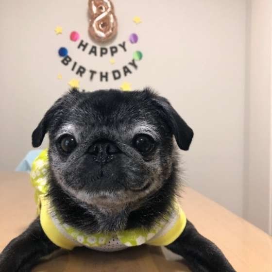 8歳のお誕生日おめでとう!