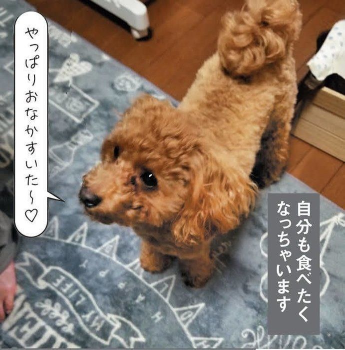 くりまるくん