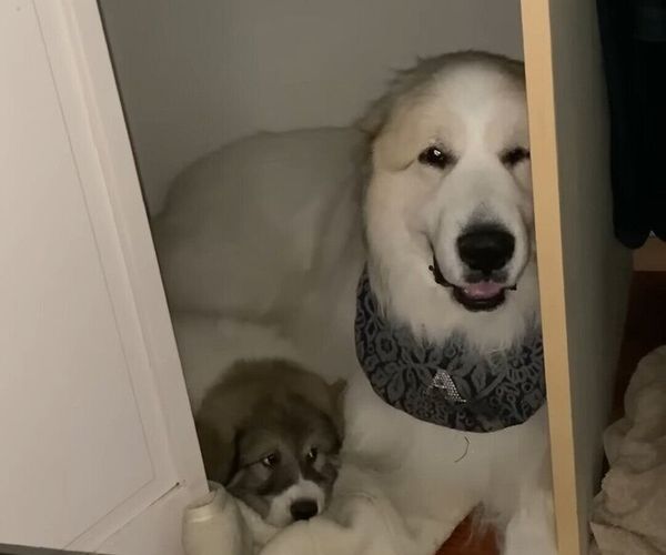 5r7pjjyhpk02pm 5r7pjjyhpk02pm