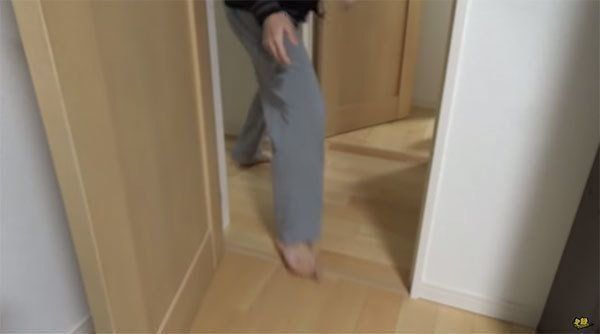 かくれんぼで遊ぶ柴犬