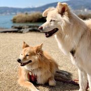 Wbyrb3i Ttwwsm Wbyrb3i Ttwwsm