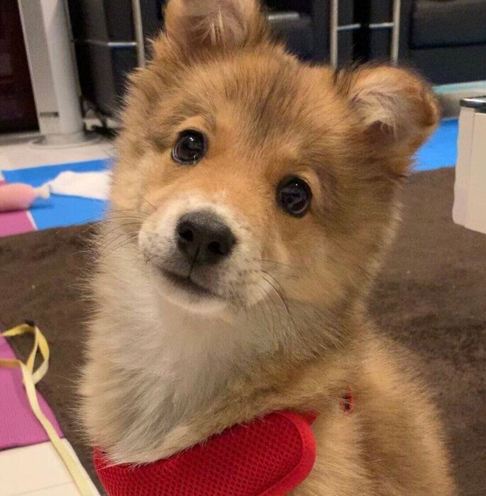 ��²�ˤʤä�27���ܤΥ�Ƥ����