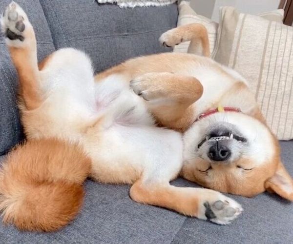 5r7pjjyhpk02pm 5r7pjjyhpk02pm