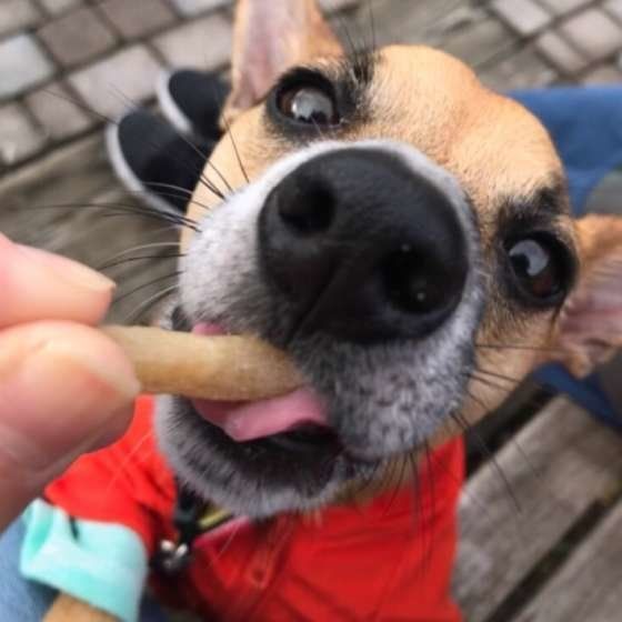 ミックス