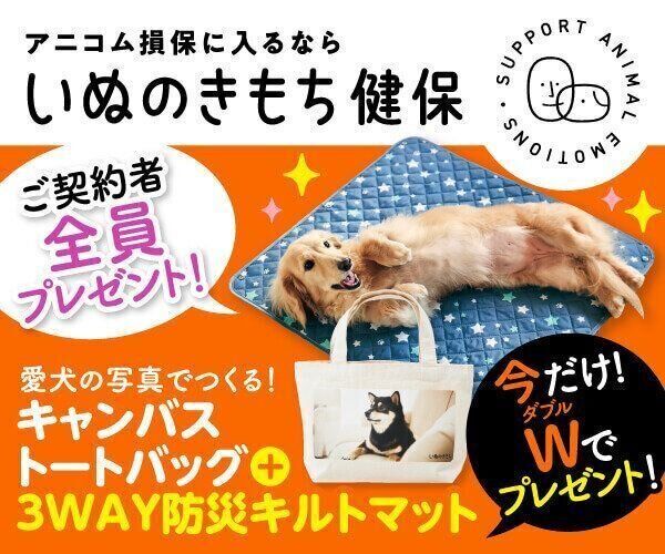 いぬのきもち(2020.3〜2022.2) いぬのきもち 2021年2月号｜株式会社シーオーツー