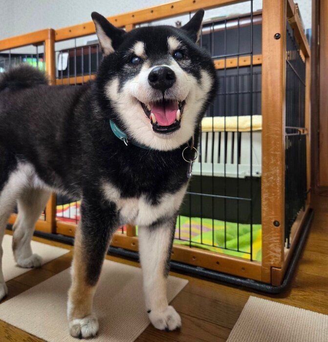 笑顔がかわいい豆太くん