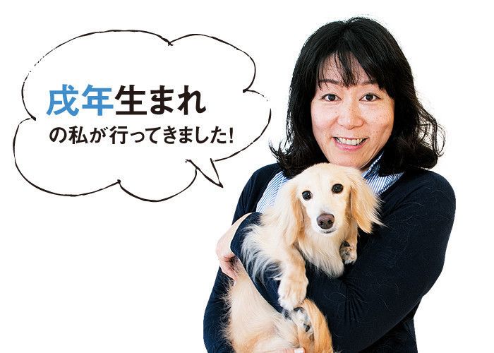 人気占い師が犬との生活の運気アップ術を伝授!わんにゃんスクラッチで運試し!