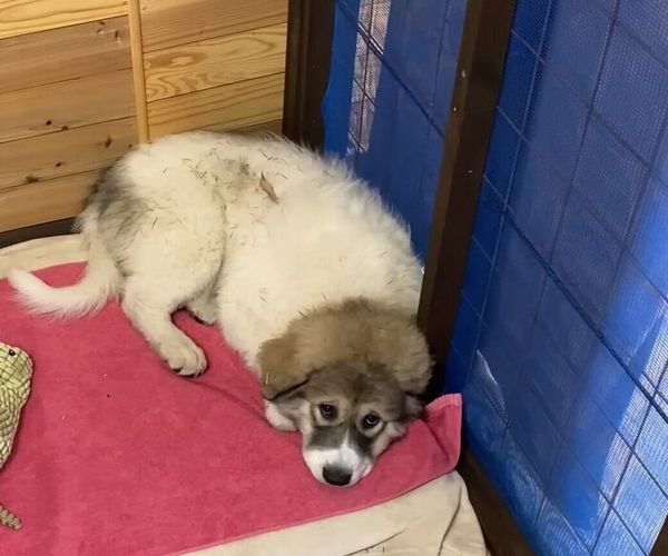 5r7pjjyhpk02pm 5r7pjjyhpk02pm