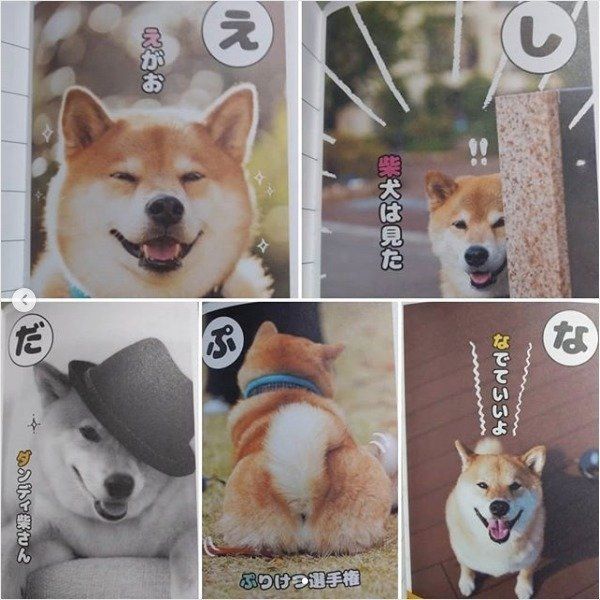 柴犬まるグッズ