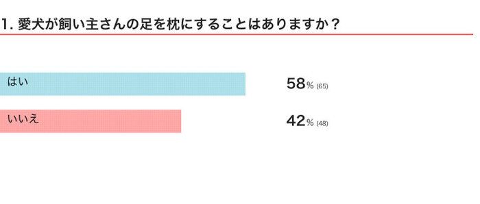 愛犬が飼い主さんの足を枕にすることはある？