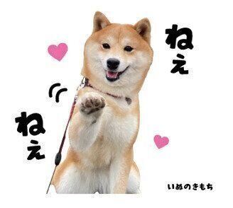 ももちゃんのスタンプ