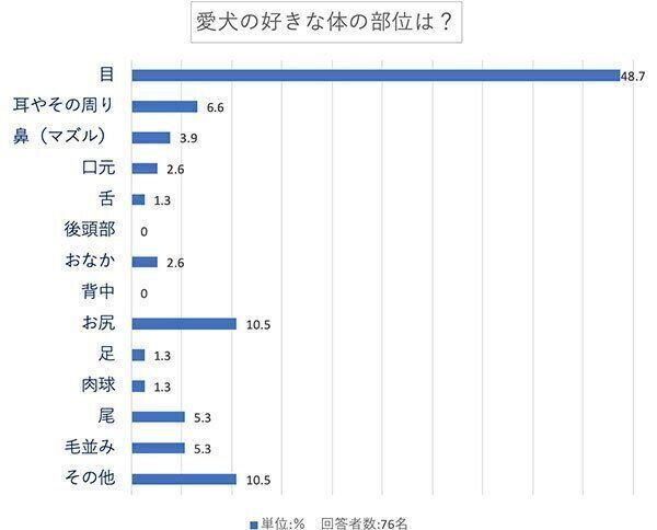 愛犬の好きな体の部位は?