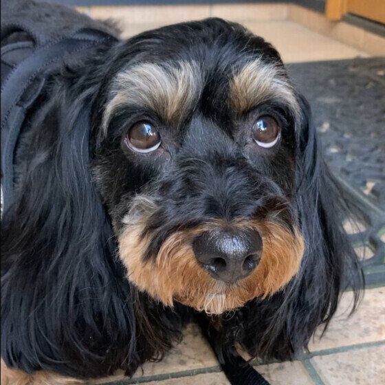 上目遣いの可愛い表情♪