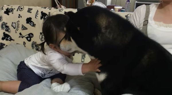 女の子と柴犬
