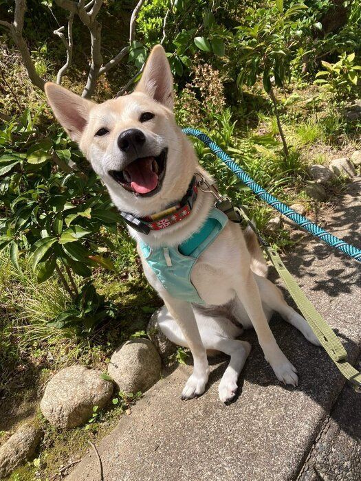 とっても幸せそうな表情に見ているだけで癒やされる