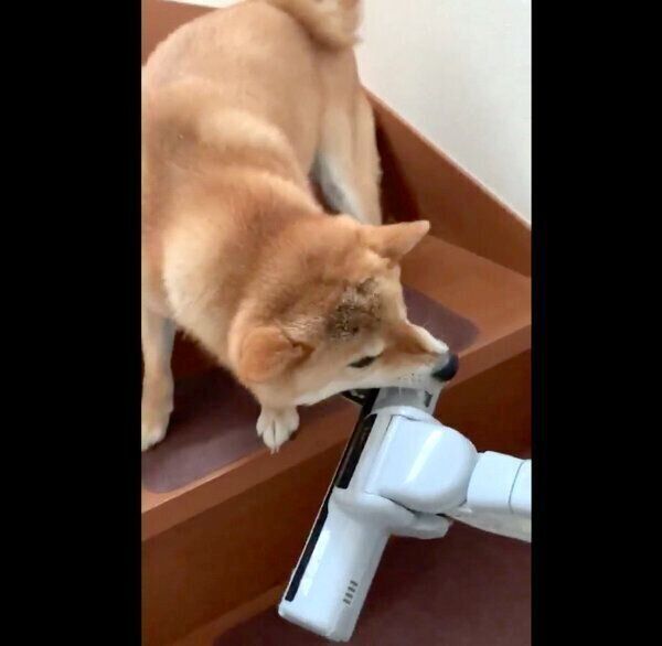 鉄壁の守りを見せる銀次くん