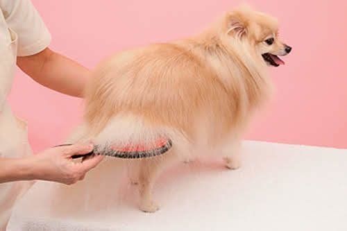 行程③