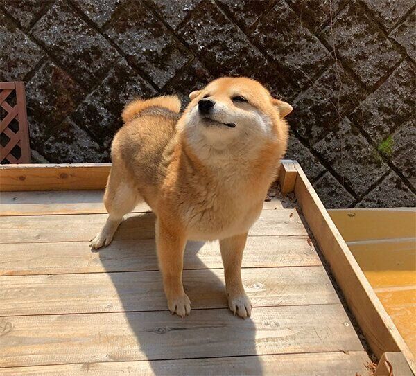 嬉しそうなクリ丸ちゃん
