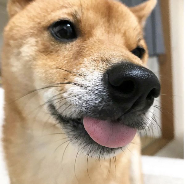 特等席