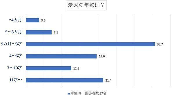 愛犬の年齢は?