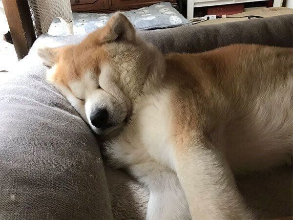 顔が潰れてしまうじんくん