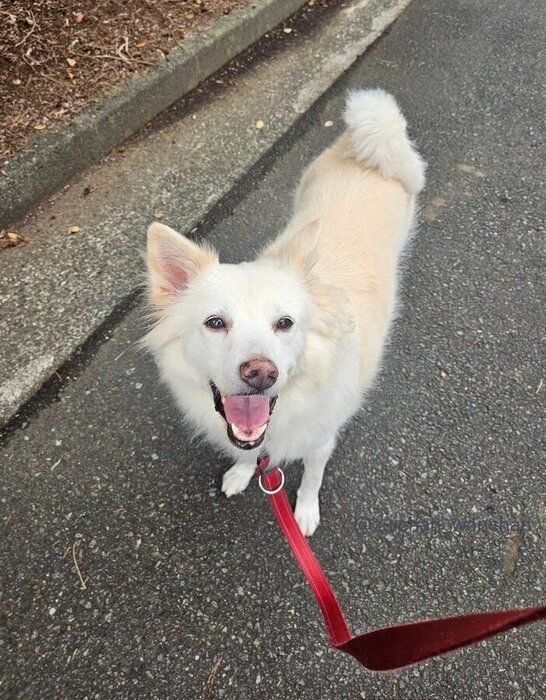 ������ο������󡡤ȤäƤ�ڤ��������ͻҤ�����äƤ���