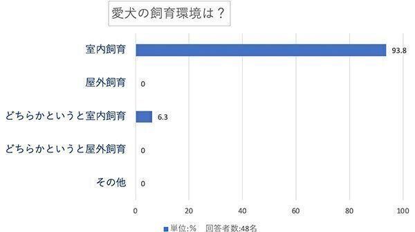 愛犬の飼育環境は?
