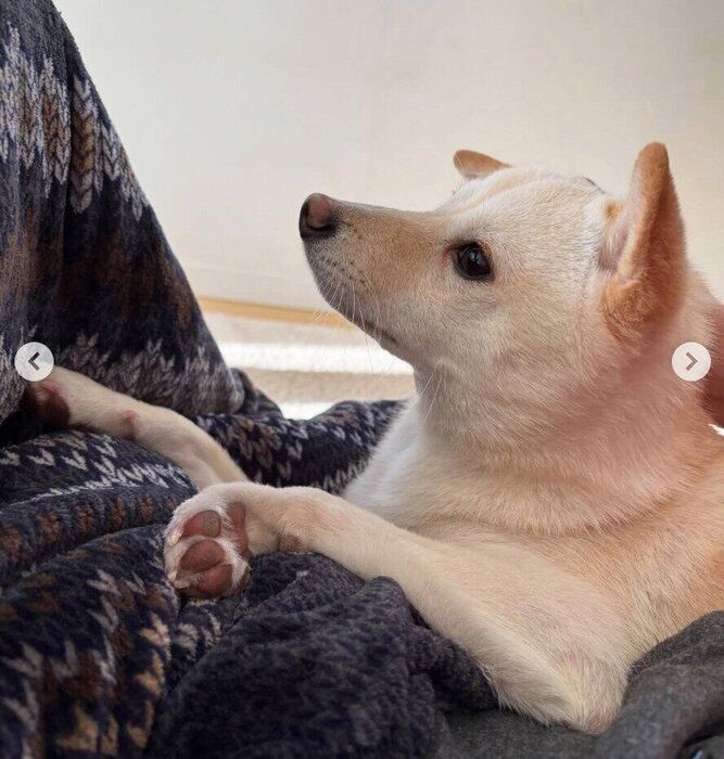 �����ĤǤޤä��ꤹ����������