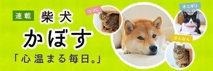 柴犬かぼすちゃんもうすぐ16才、これからも素晴らしい毎日を！－連載　最終話ー