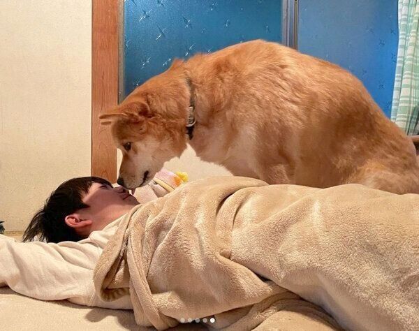 次男くんに「遊ぼ」と圧をかける福くん