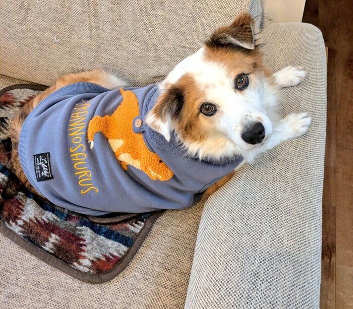 見つめるふう太くん