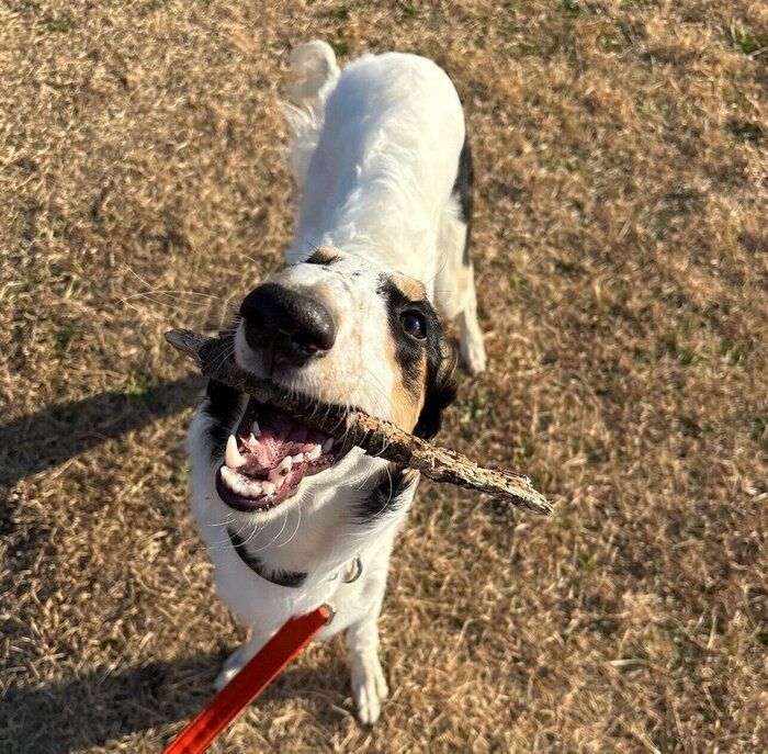 楽しそうなシュカちゃん